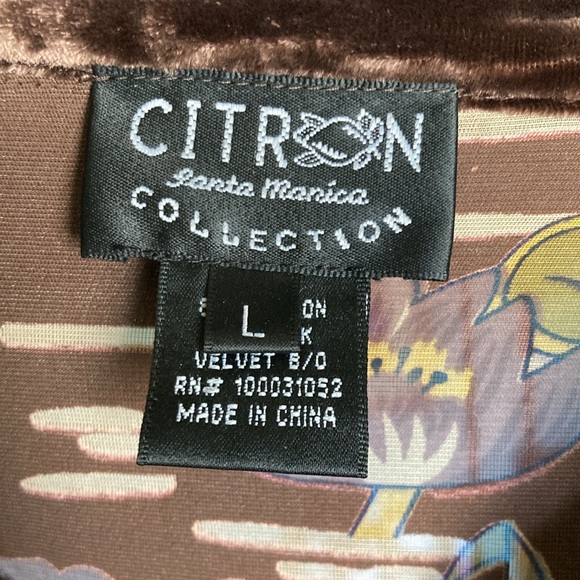 Citron Burnt Velvet Top - Picture 3 of 6